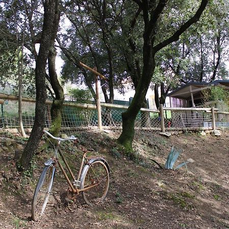 Le Domaine Du Naizadou Chalet Lou Grilh Villa La Barriere Bagian luar foto