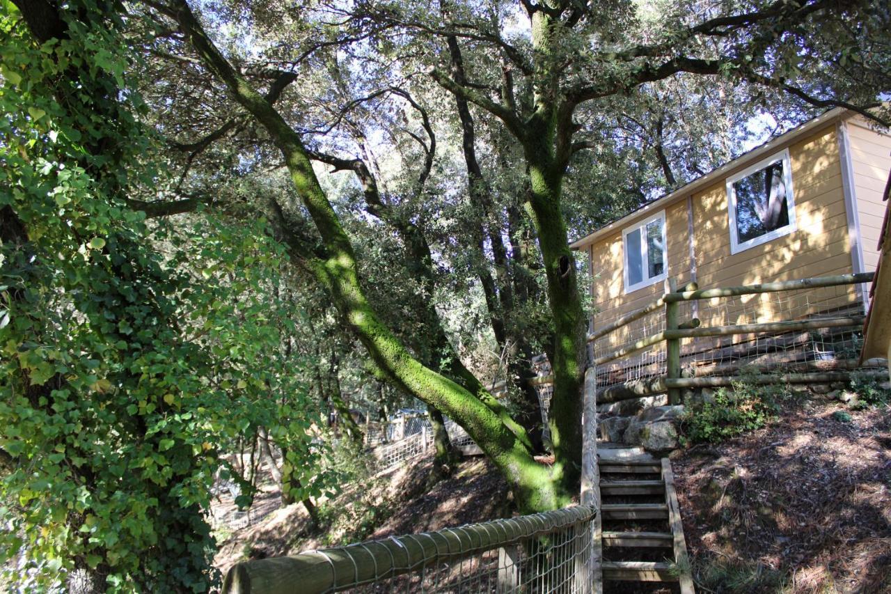 Le Domaine Du Naizadou Chalet Lou Grilh Villa La Barriere Bagian luar foto