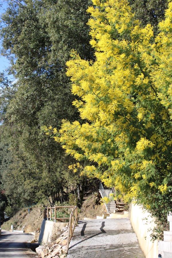 Le Domaine Du Naizadou Chalet Lou Grilh Villa La Barriere Bagian luar foto